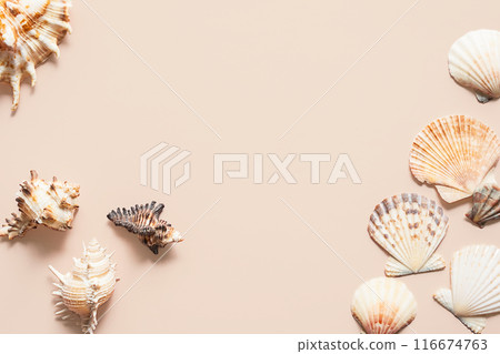 Sea shells randomly placed on beige background. Sea shells randomly placed on beige background. 116674763