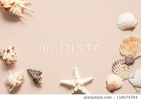 Sea shells randomly placed on beige background. Sea shells randomly placed on beige background. 116674764
