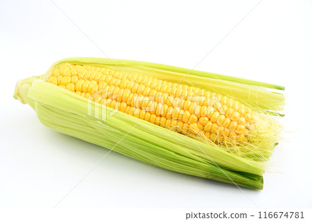 玉米(奶糖) 玉米(奶糖) 116674781