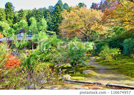 大原實光院舊立學院庭園 美麗的秋天庭園（京都市左京區） 116674957