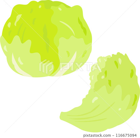 Head lettuce with one leaf removed 116675094
