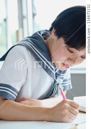 School girls studying School girls studying 116675152