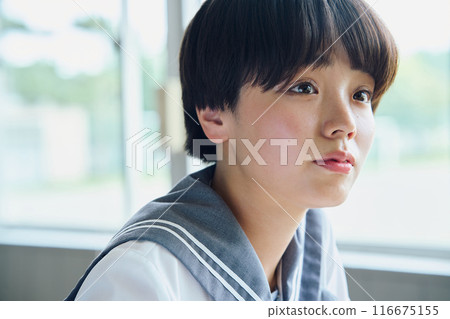 School girls studying 116675155