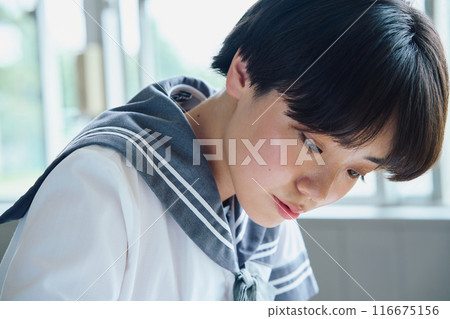 School girls studying 116675156