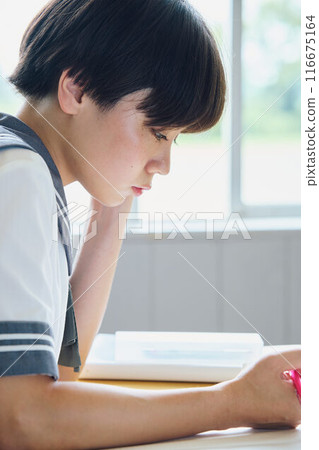 學校女生學習 學校女生學習 116675164