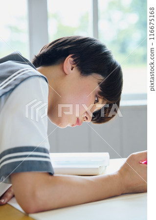 School girls studying 116675168