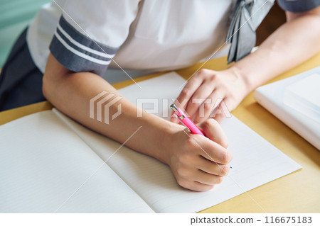 School girls studying School girls studying 116675183
