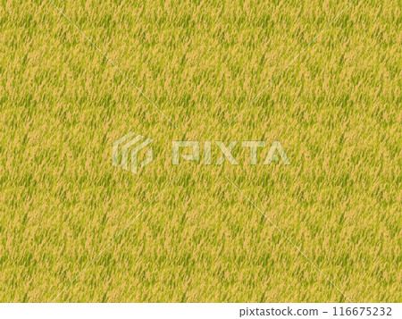 Grass Wallpaper "AI generated image" 116675232