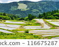 Betsumiya Rice Terraces (Yabu City, Hyogo Prefecture) 116675287