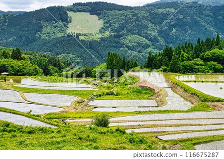別久的梯田(兵庫縣耶布市) 別久的梯田(兵庫縣耶布市) 116675287