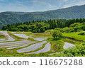 Betsumiya Rice Terraces (Yabu City, Hyogo Prefecture) 116675288