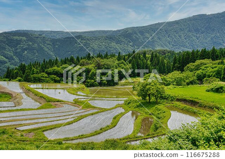 Betsumiya Rice Terraces (Yabu City, Hyogo Prefecture) 116675288