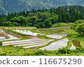 Betsumiya Rice Terraces (Yabu City, Hyogo Prefecture) 116675290