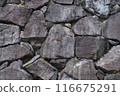 Stone walls of rice terraces (Beppu rice terraces) 116675291