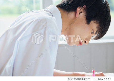 Boys studying to study 116675332