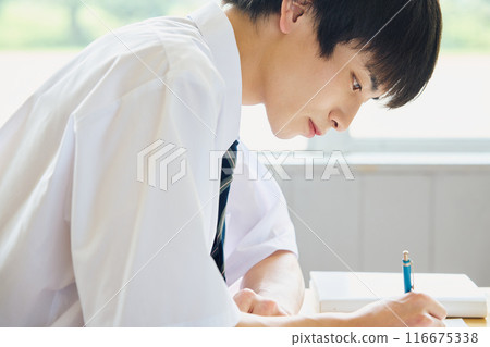 Boys studying to study 116675338