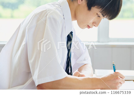 Boys studying to study 116675339