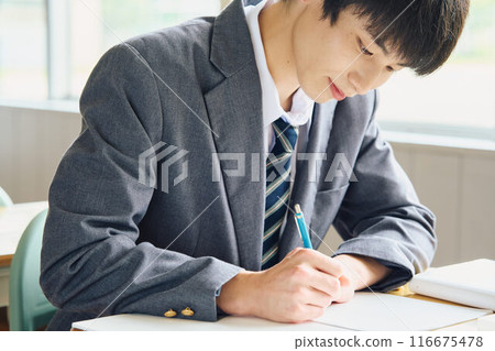 Boys studying to study 116675478