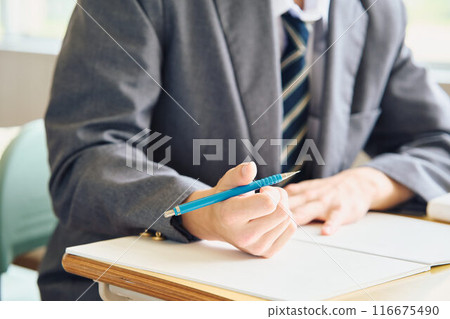 Boys studying to study 116675490