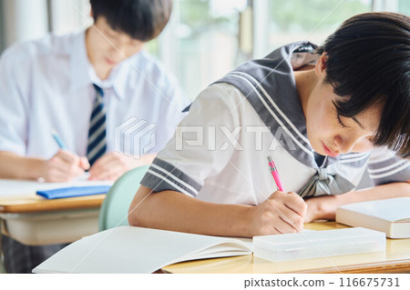 High school students studying High school students studying 116675731