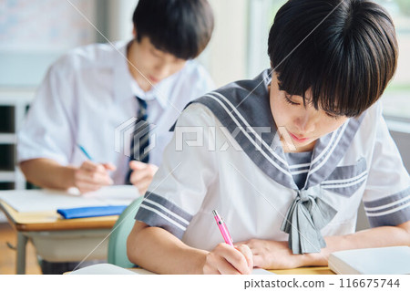 High school students studying High school students studying 116675744