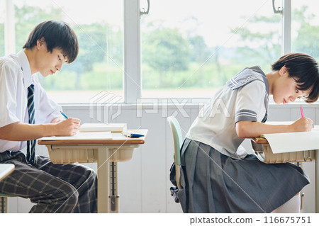 High school students studying 116675751