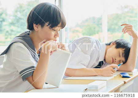 High school students studying 116675918