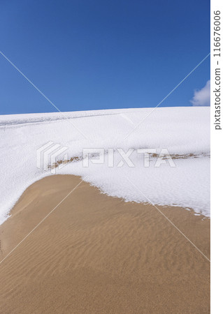 Snowy landscape of Tottori Sand Dunes Snowy landscape of Tottori Sand Dunes 116676006