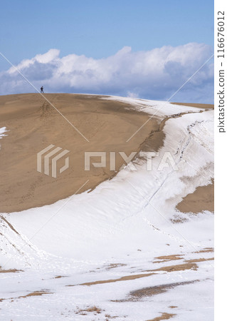 鳥取沙丘的雪景 116676012