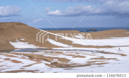 鳥取沙丘的雪景 116676013