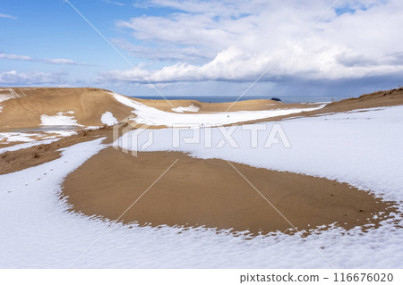 鳥取沙丘的雪景 116676020