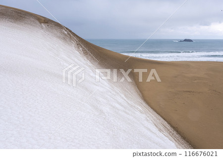 Snowy landscape of Tottori Sand Dunes 116676021