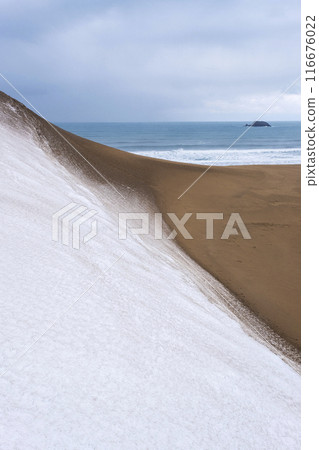 Snowy landscape of Tottori Sand Dunes Snowy landscape of Tottori Sand Dunes 116676022