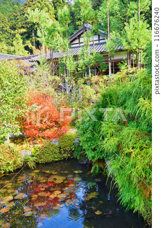 大原實光院舊立學院庭園 美麗的秋天庭園（京都市左京區） 116676240