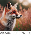 Fox 116676393