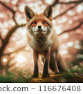 Fox 116676408