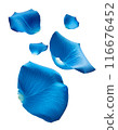 Falling blue rose petals 116676452