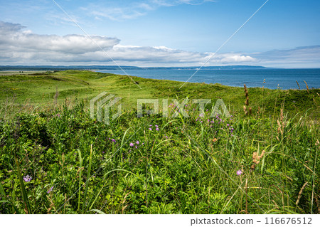 從鐙網本線源正花園站後山上看到的原始花園、鄂霍次克海、網走方向的海岸線 116676512