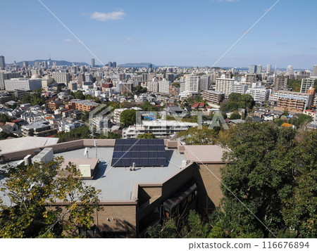 福岡縣福岡市中央區小笹福岡市植物園展望台的風景 116676894