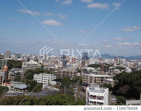 福岡縣福岡市中央區小笹福岡市植物園展望台的風景 福岡縣福岡市中央區小笹福岡市植物園展望台的風景 116676898