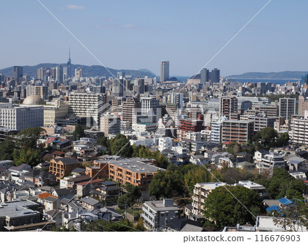 福岡縣福岡市中央區小笹福岡市植物園展望台的風景 116676903