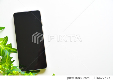 智慧型手機和小工具 116677573