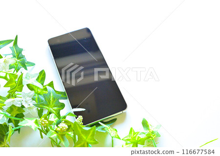 Smartphones and gadgets 116677584