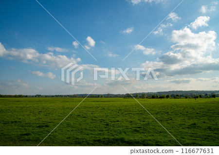 English grassland and clouds 116677631