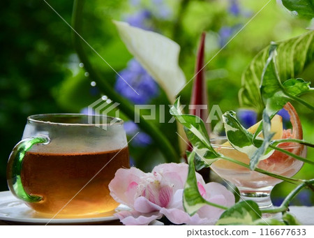 Enjoy desserts in the garden on a sunny day during the rainy season. 116677633