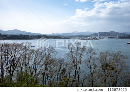 Kesennuma Bay Crossing Bridge as seen from Kesennuma Oshima Bridge 116678013