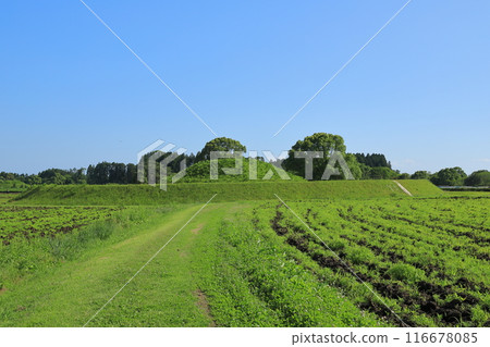 A view of the Saitobaru Burial Mounds amidst green grassland 116678085