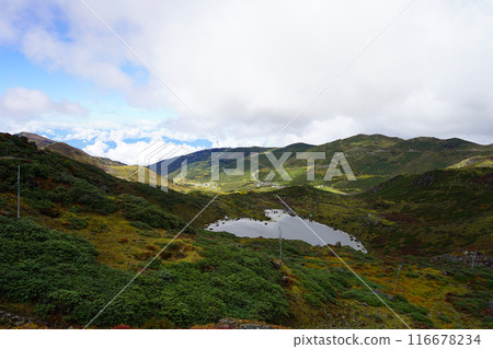 Strawberry Lake in East Sikkim Beside Tsomgo Lake 116678234