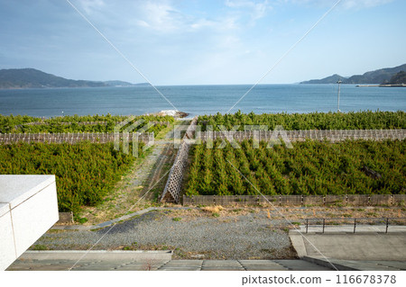 Rikuzentakata City, Iwate Prefecture Great East Japan Earthquake and Tsunami Memorial Museum Ocean View Rikuzentakata City, Iwate Prefecture Great East Japan Earthquake and Tsunami Memorial Museum Ocean View 116678378