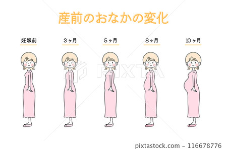 孕婦身體的變化【全身插畫集】 116678776